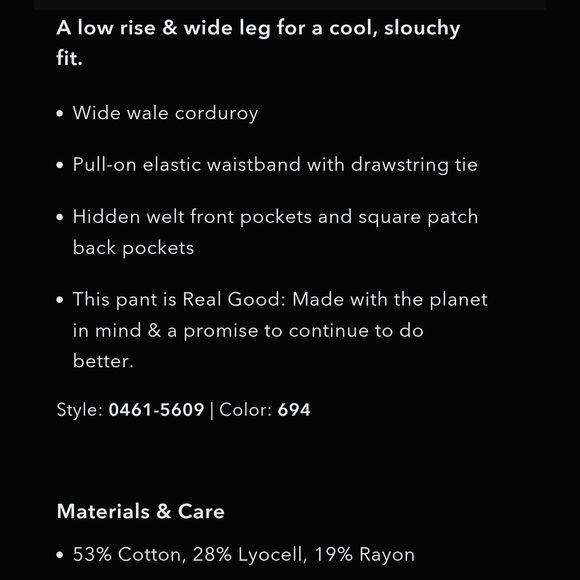 American Eagle Stretch Corduroy Low-Rise Baggy Wide Leg Pant - Picture 4 of 5